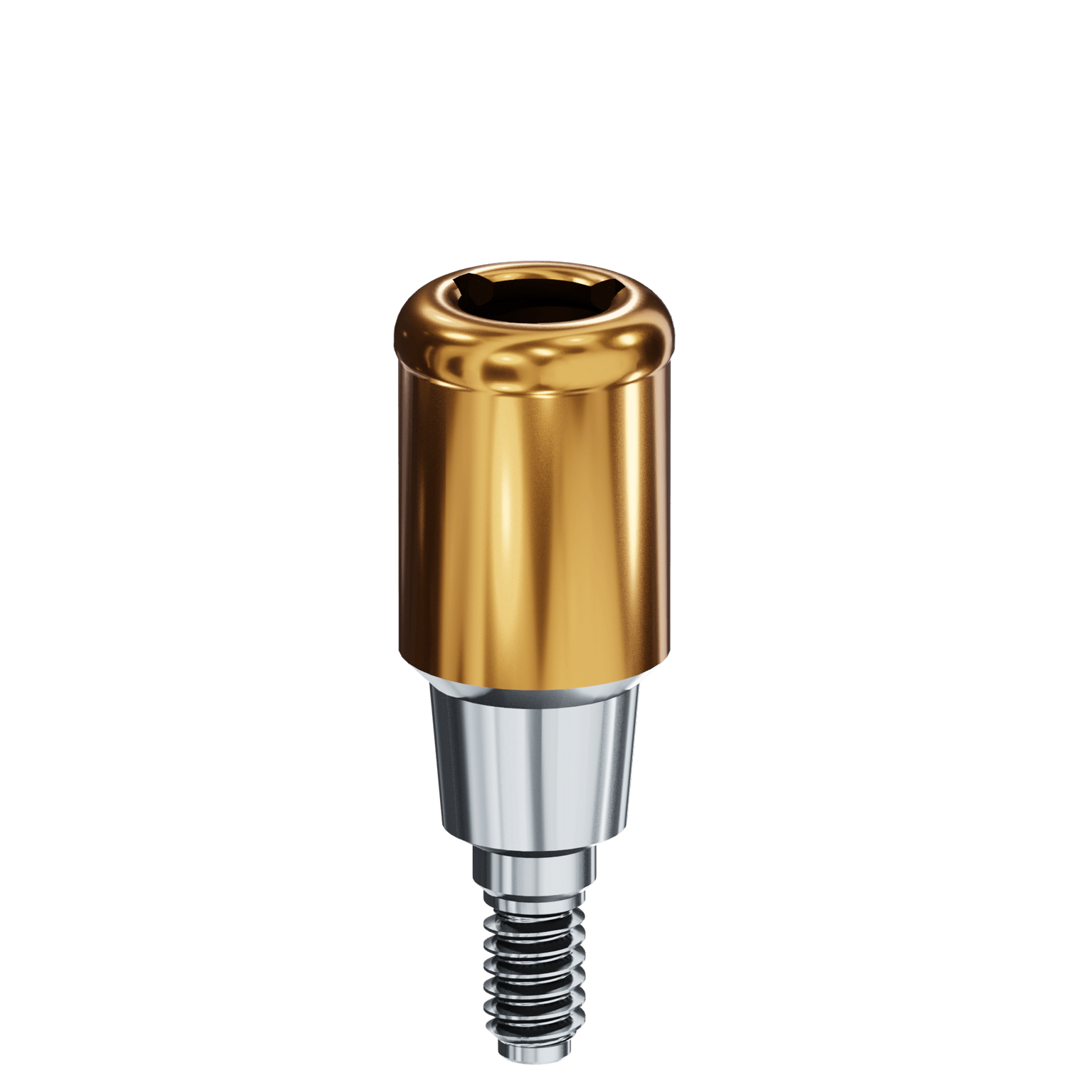 LOCATOR® Abutment - BioTech Dental® Kontact