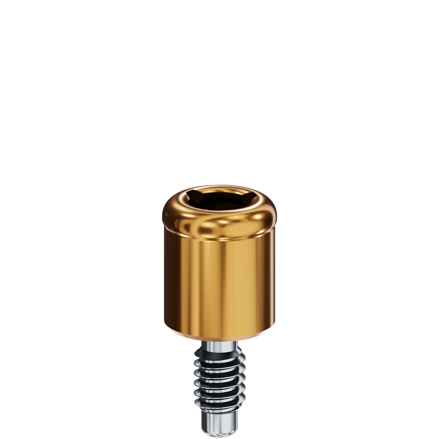 LOCATOR® Abutment - Phibo Impladent® TSH/BNT S2