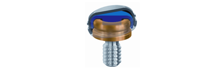 Implant
