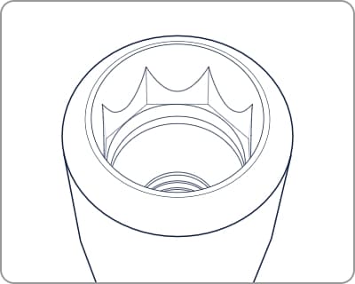 Straumann Tissue2