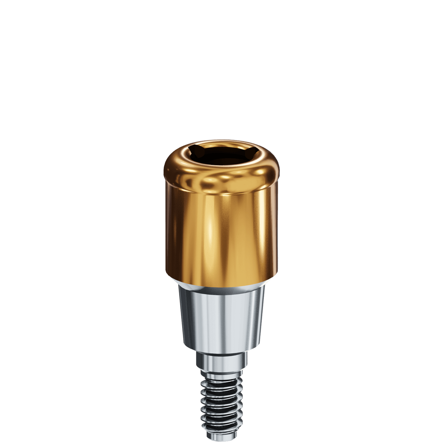 LOCATOR® Abutment - BioTech Dental® Kontact