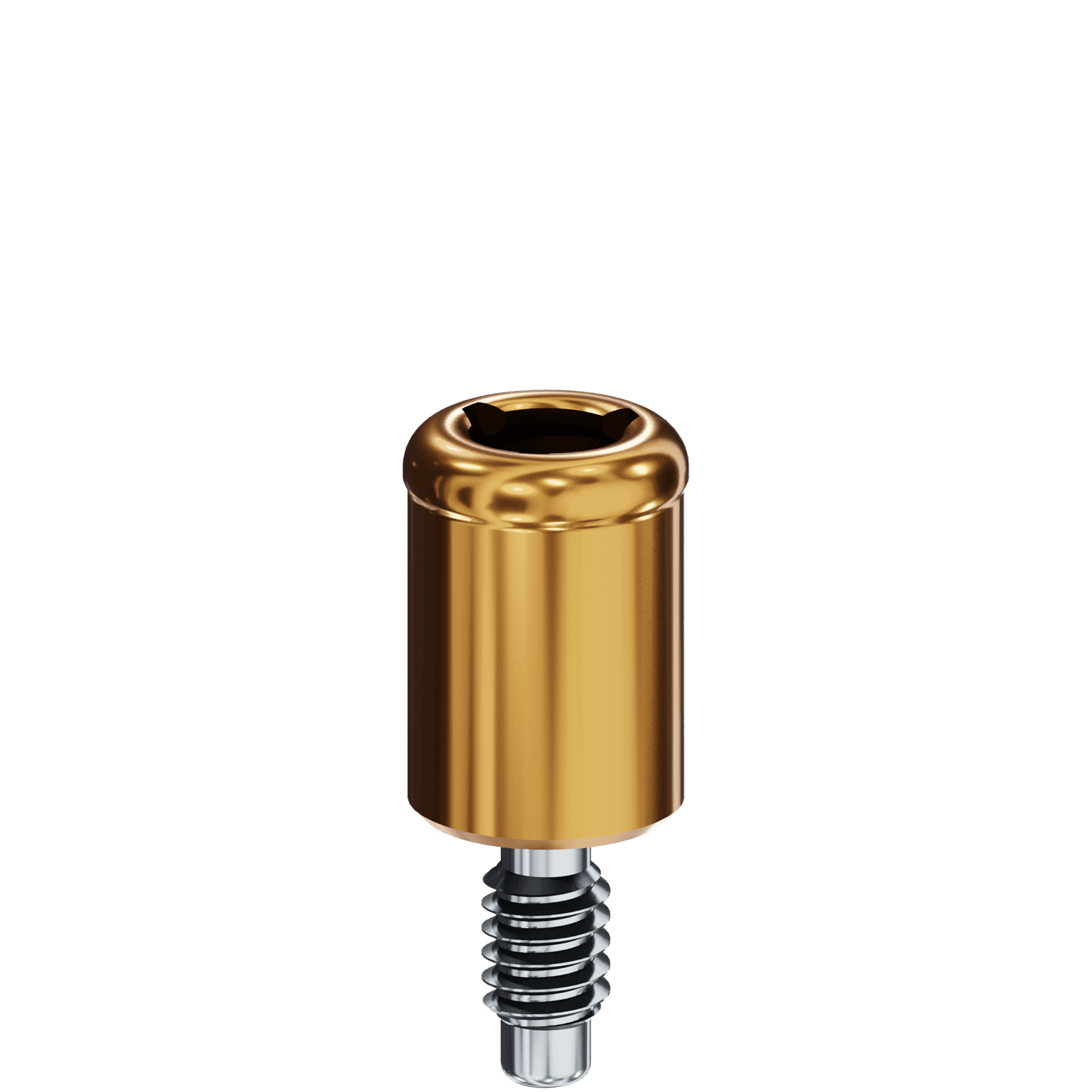 LOCATOR® Abutment - Phibo Impladent® TSH/BNT S2