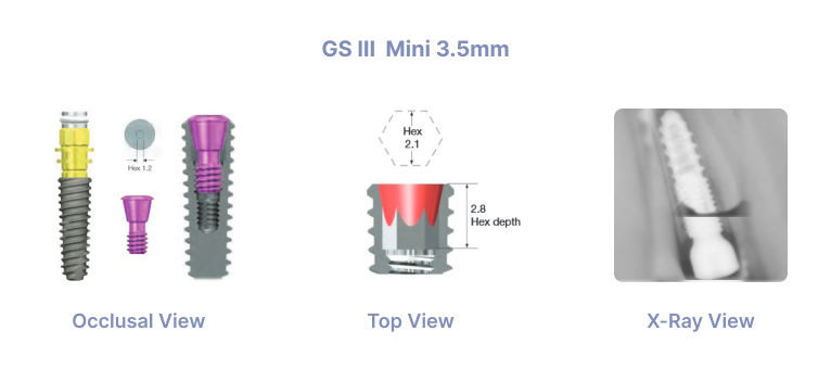 GS III Mini 3.5mm