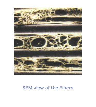 Fiber Technology SEM view of Fibers