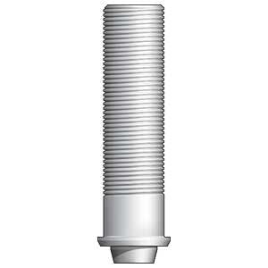 CAMLOG® Screw-Line 3.3mm Non-Engaging Plastic UCLA (10-Pack)